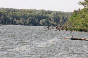 IMG_0194
